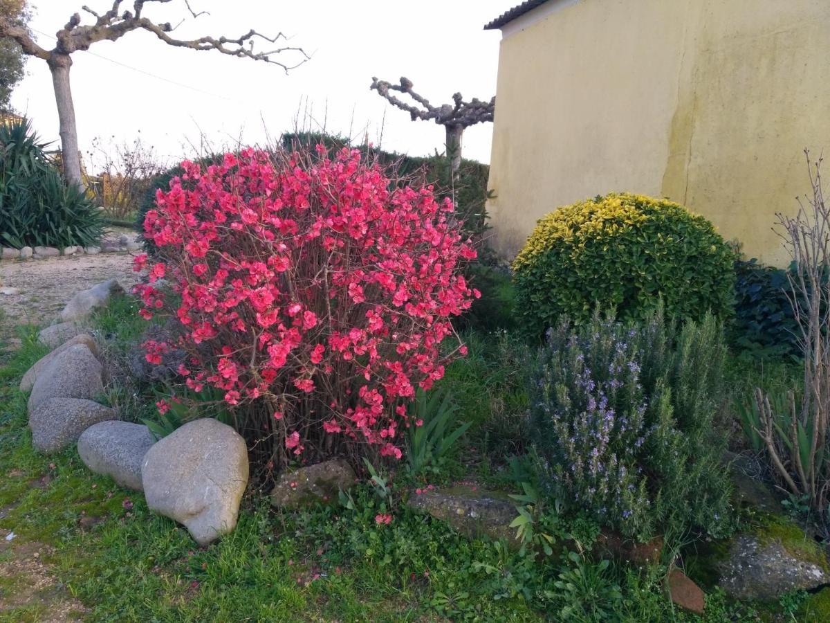 Casa Rural "Can Abres" Vilobi D'Onyar Girona Vilovi de Onar Экстерьер фото